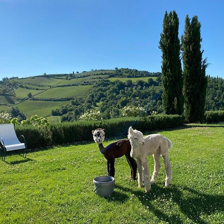 Villa Rignana Chianti Estate, Pool, Tennis,Cook 그레베 인 키안티 외부 사진